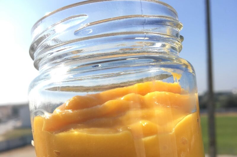 a melhor mousse de manga