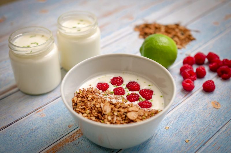 iogurtes caseiros no micro-ondas