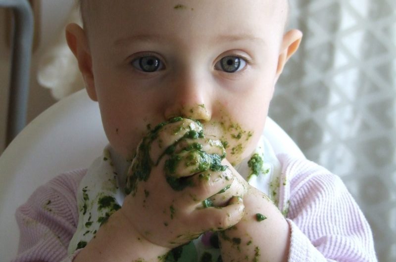 alimentacao infantil comida para todos